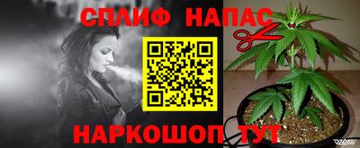 молекула духа Дубна