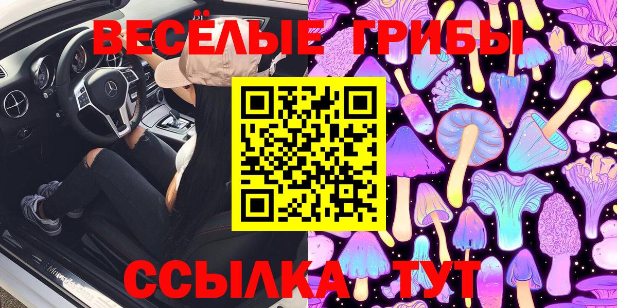 Псилоцибиновые грибы ЛСД Кудрово